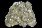 Plate Of Gemmy, Chisel Tipped Barite Crystals - Mexico #84431-1
